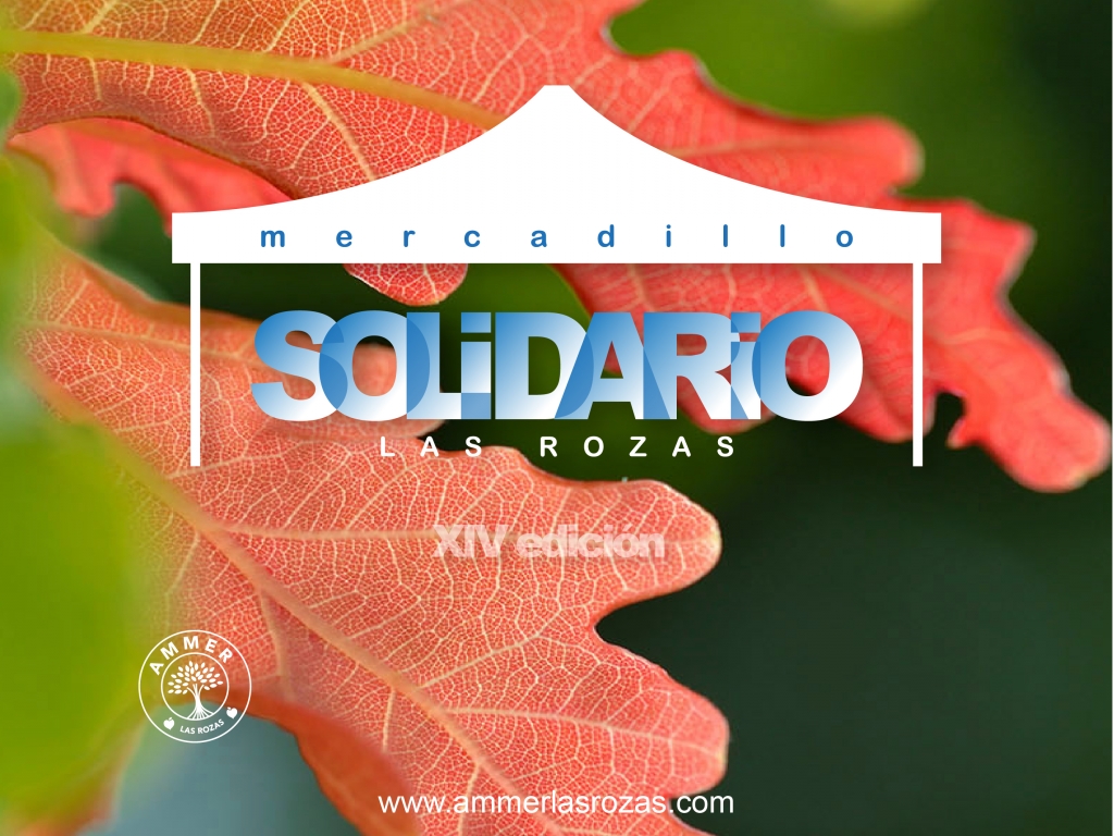 Mercadillo Solidario noviembre 24