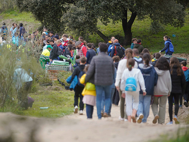 Las Rozas organiza una nueva Gran Plantación Familiar 