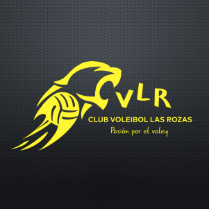 Club voleibol Las Rozas